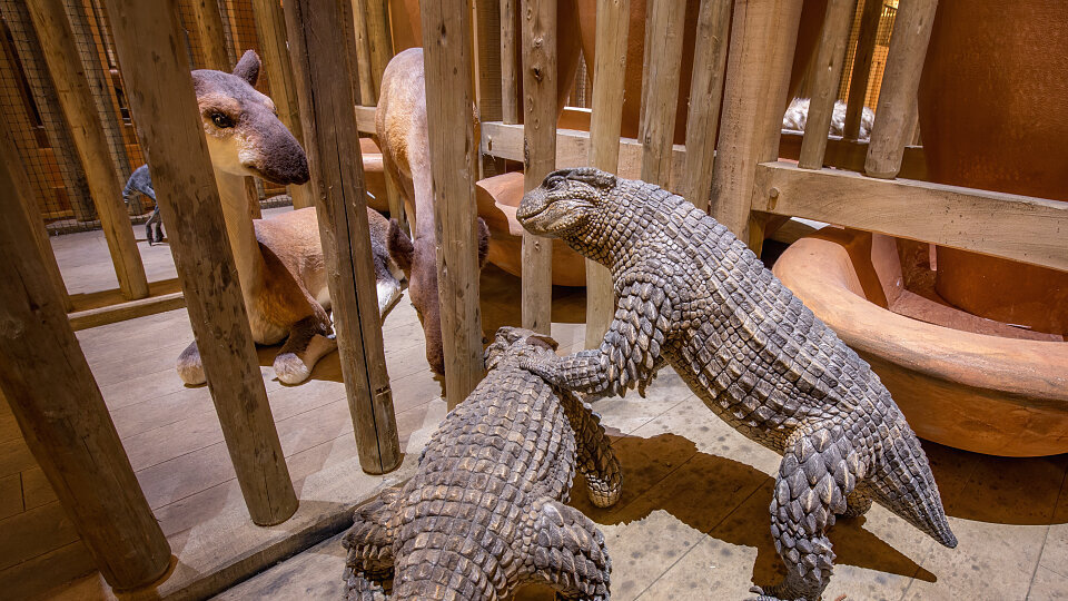 ark encounter exhibit animals