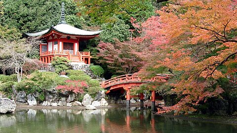 SEPTEMBER 17 - KYOTO (OSAKA), JAPAN