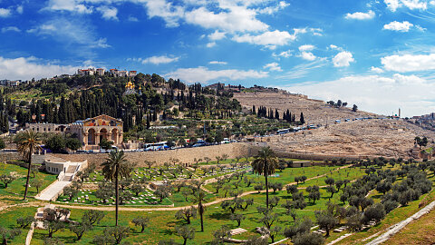 March 6 – Beth Shean, Mount of Olives, Garden of Gethsemane