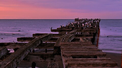 JANUARY 24 – PUNTA ARENAS