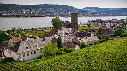 FEBRUARY 8 - RHINE GORGE - RÜDESHEIM