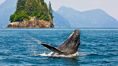 MAY 27 – ICY STRAIT POINT